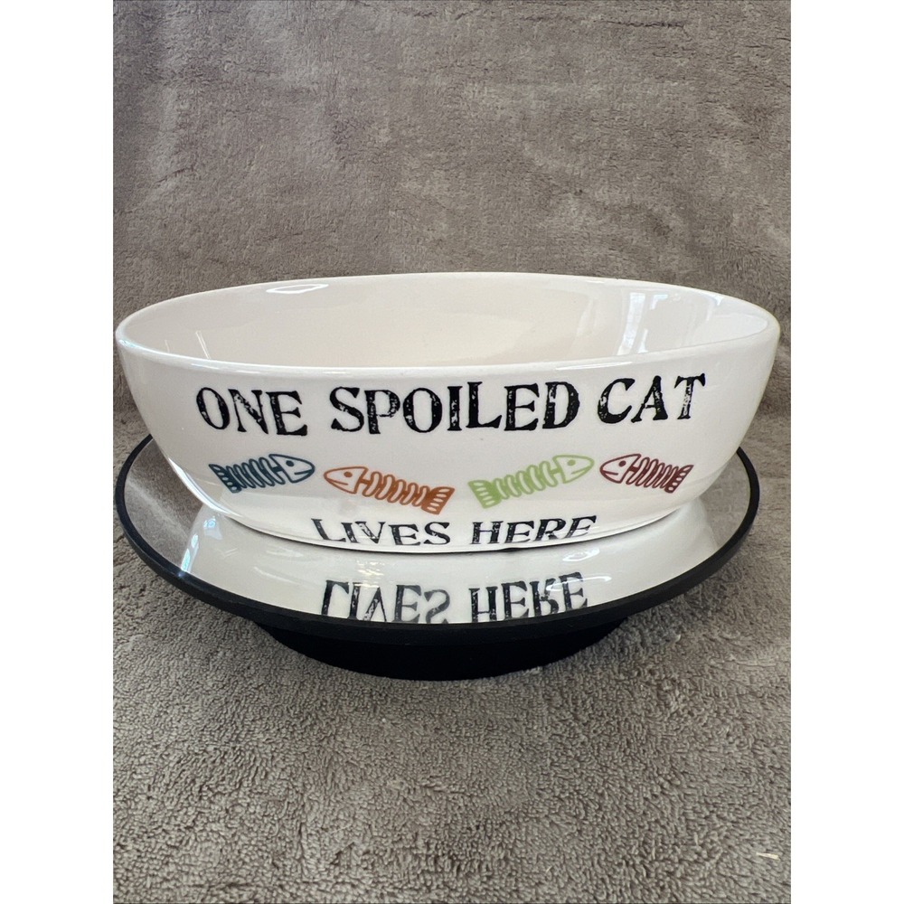 PETRAGEOUS White Ceramic Oval Cat Bowl Dish "One Spoiled Cat Lives Here"